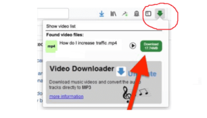 professional video downloader for firefox